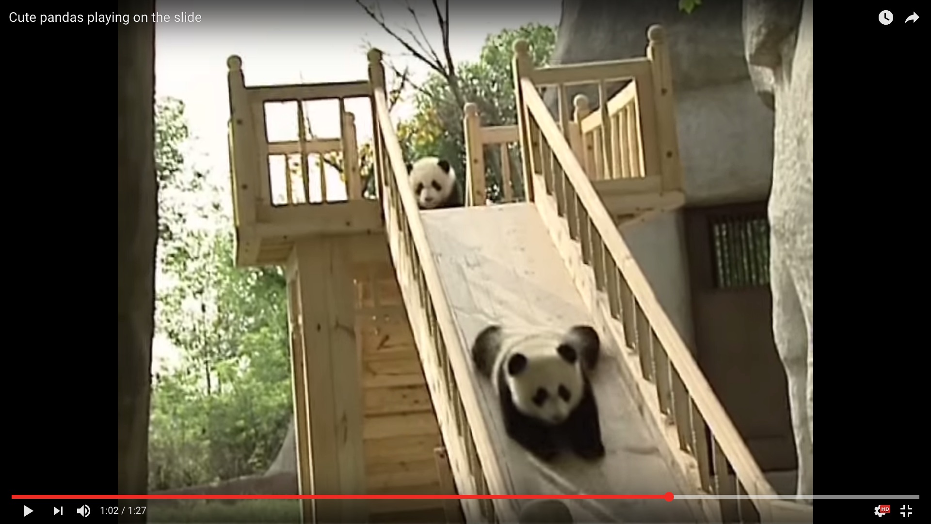 禁断の可愛さ すべり台の楽しさにハマった子パンダ集団 滑りすぎてモフモフ大渋滞が発生中 16年10月17日 エキサイトニュース