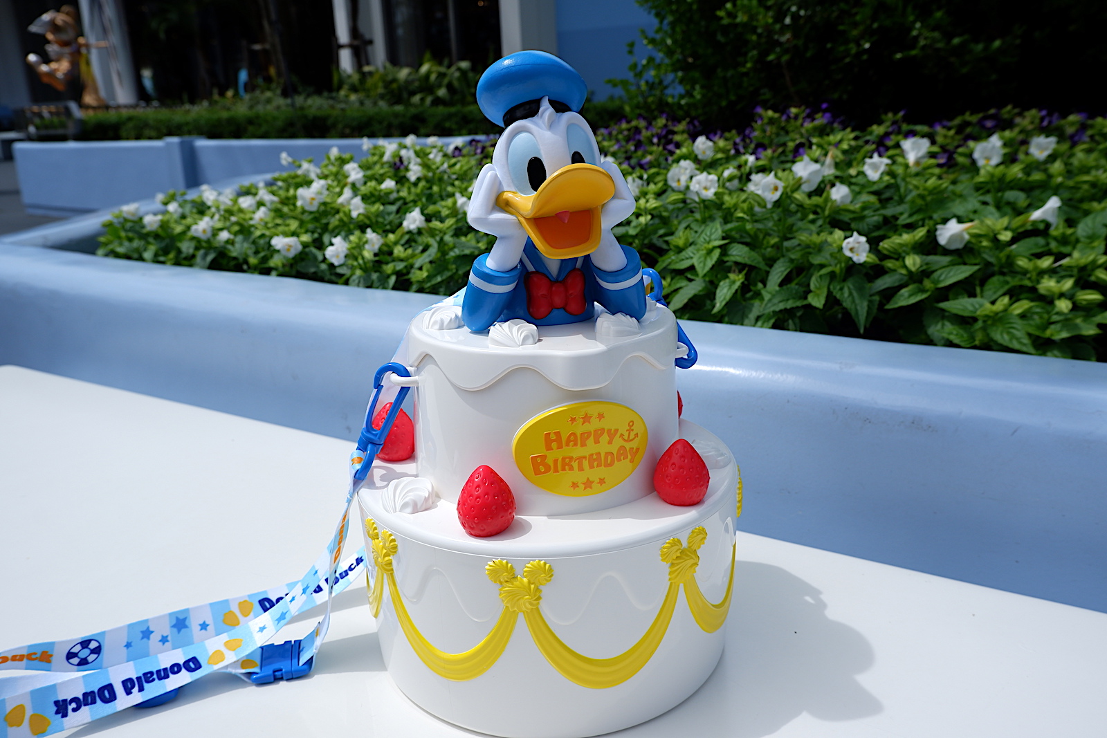 注目 ドナルドの誕生日を全力でお祝いできるバースデーグッズが悶絶級の豪華さ スーベニアは死角なしの可愛さです 18年6月9日 エキサイトニュース