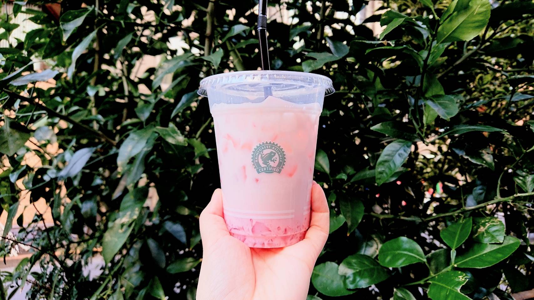 ローソン限定 桜ゼリーラテ がスタバみたいな美味しさ 可愛くて低カロリーな乙女の味方ドリンクです 19年3月14日 エキサイトニュース