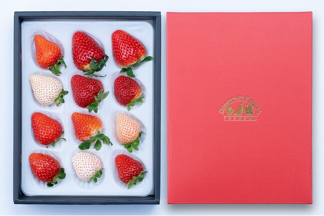 旬のイチゴを堪能する「いちご12種食べ比べ」出荷開始！！ (2024年1月