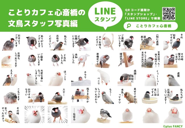 小鳥 お取引中 ありがとう Mabin Co Th