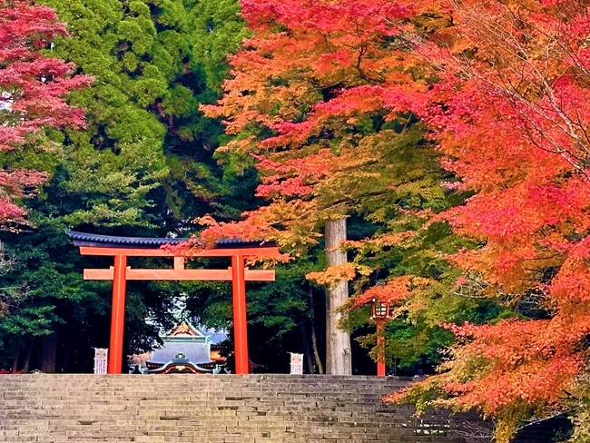 秋の霧島、紅葉スポットを紹介します！ (2025年11月21日) - エキサイト