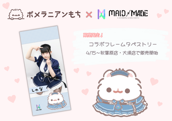 ポメラニアンもち』とアキバのメイドカフェ『MAID MADE（メイドメイド