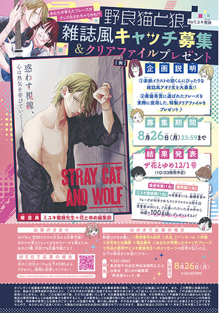 野良猫と狼　営業ですから　他作品　+販促品　セット コミック全巻セット・まとめ買い】野良猫と狼(1～6巻)セット | ブック