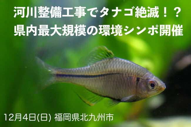 タナゴ4 TANAX タナックス パワータイベルト (ブラック) MF-4724 | 通販