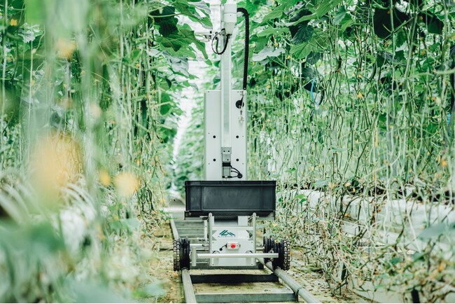 画像が削除されました