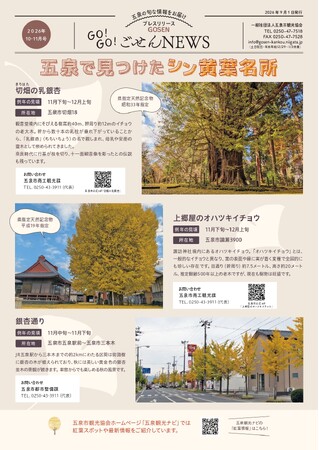 ぎんなん祭り in 蛭野