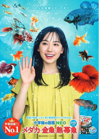 芦田愛菜 図鑑 帯 Prtimes_2024-06-24-13640-