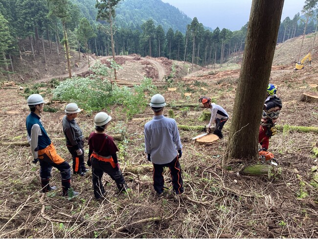 画像が削除されました