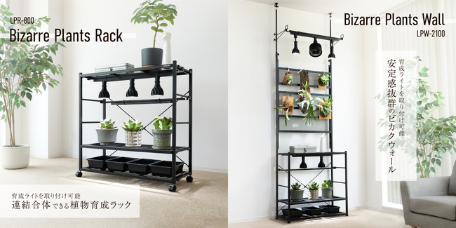 植物育成棚 ハンドメイド アガベ