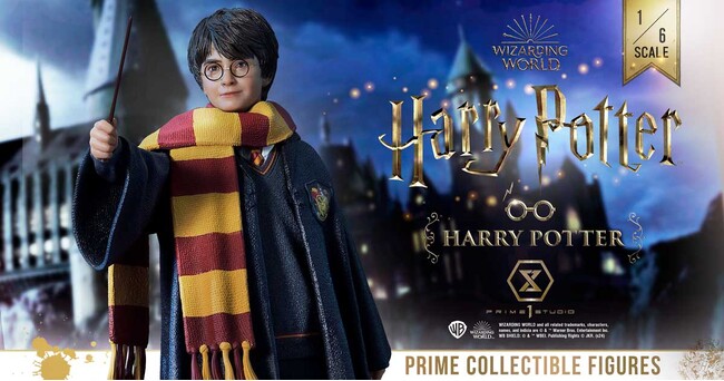 ヘドウィグを連れた姿も！2種類の「ハリー・ポッター」が、プライム