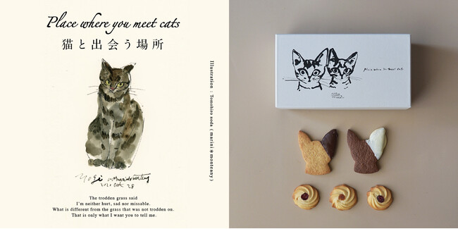 西武池袋本店】猫の日にあわせポップアップを開催「Place where you 