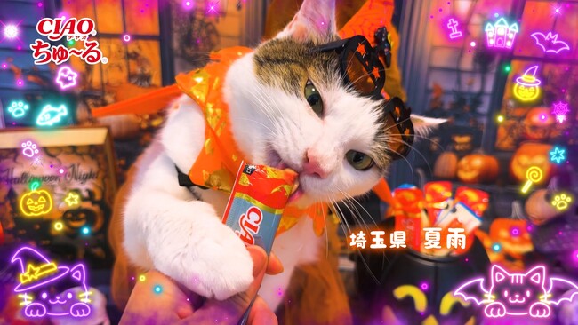 いなばペットフード 仮装姿の猫ちゃんたちが彩る「CIAOちゅ～る」2026