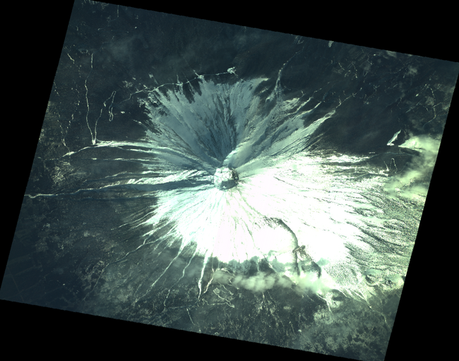 画像が削除されました