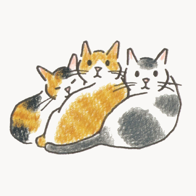 #世界猫の日 「気づけば猫ばかり描いていた」人気イラストレーター小泉さよさんがとびきりかわいい猫の描き方を教える『ねこの描き方れんしゅう帖』が発売決定  (2024年8月8日) - エキサイトニュース