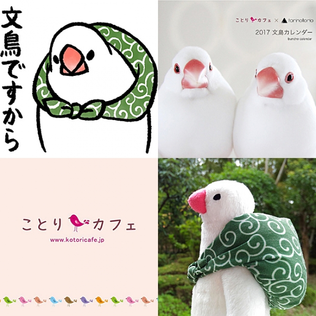 もーすぐ 文鳥まつり 話題の ふろしき文鳥 を連れて ことりカフェ も参加 16年10月17日 エキサイトニュース