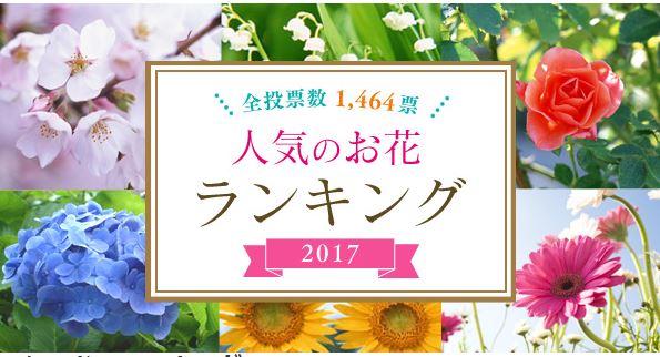 人気のお花ランキング17 17年4月23日 エキサイトニュース