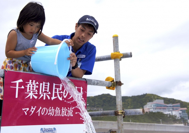 鴨川シーワールド 6月15日 木 はお子様入園料無料 千葉県民の皆様に感謝を込めて 千葉県民感謝月間 開催 17年6月1日 木 6月30日 金 17年5月23日 エキサイトニュース