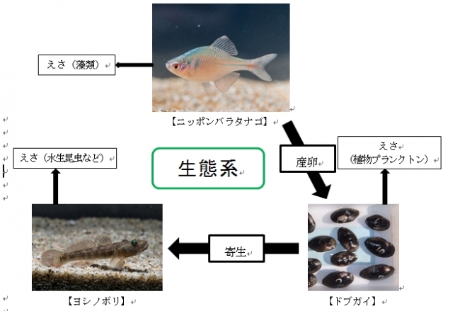 生物多様性への取り組みについて 17年9月27日 エキサイトニュース