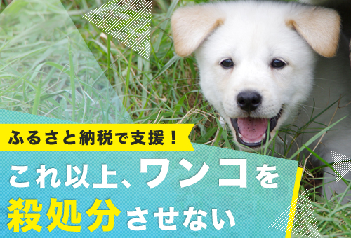 広島県神石高原町とトラストバンク ふるさと納税を活用して 犬の殺処分ゼロ を目指す事業を開始 18年1月19日 エキサイトニュース