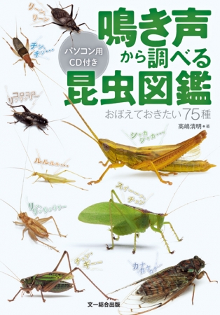 効果音集 （虫の鳴き声） 虫の鳴き声をおぼえたい人におすすめの図鑑。付属CDで虫の鳴き声が