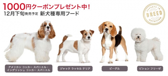 犬種専用フード ブリード ヘルス ニュートリション 新たに４犬種用製品を追加発売 18年11月日 エキサイトニュース