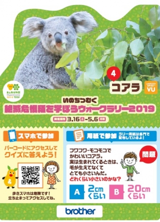 ブラザー 東山動植物園 春まつり で開催されるウォークラリーに協賛 19年3月14日 エキサイトニュース