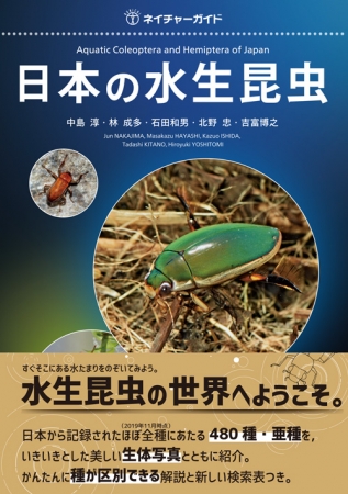 真の水生昆虫」の真の姿がわかる！新たな水生昆虫図鑑の金字塔