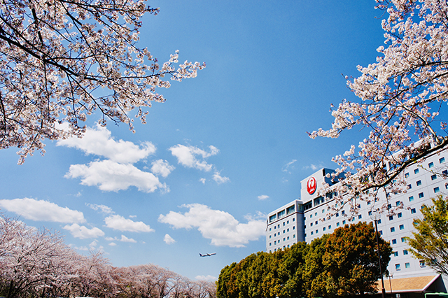 ホテル日航成田 桜めでる フォトコンテストを開催 今年からinstagramでの応募も可能に 年3月18日 エキサイトニュース