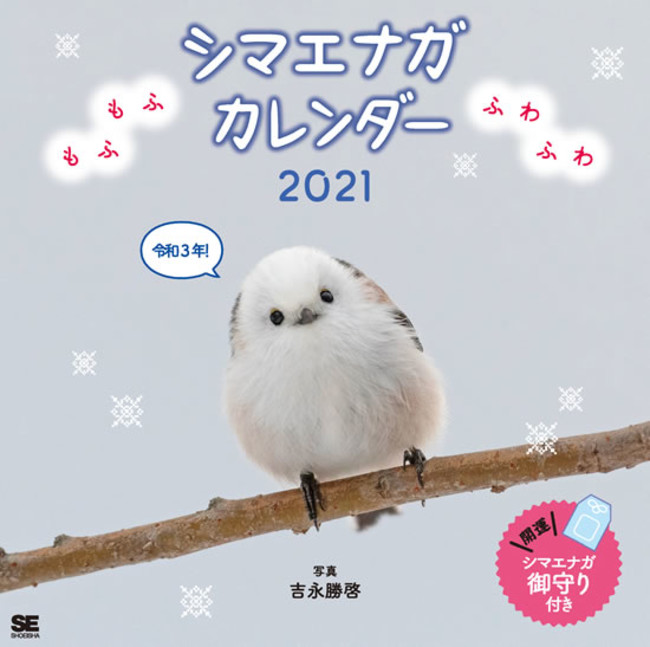 シマエナガ エゾモモンガ 秋田犬などなど 可愛い動物カレンダーが勢ぞろい 翔泳社 21年 動物 カレンダーを発売 年9月10日 エキサイトニュース