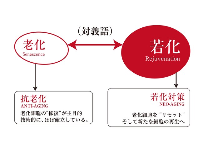 コロナ禍で注目度急上昇 日本初 臨床医主導の若返り医療 学会シンポジウムが開催 21年3月2日 エキサイトニュース