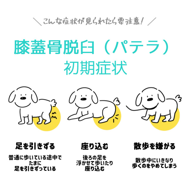 愛犬の健康的な「歩行、走行、ジャンプ」をサポートする犬用膝サポーター（膝蓋骨パテラサポーター）ポベオが遂に日本へ上陸します (2021年5月18日)  - エキサイトニュース