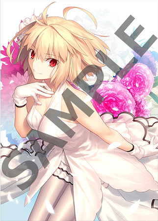 月姫 リメイク 初回限定版 とらのあな 購入特典 アクリルボード アルクェイド 8月26日発売『月姫 -A piece of blue glass moon-』のアニメイト特典