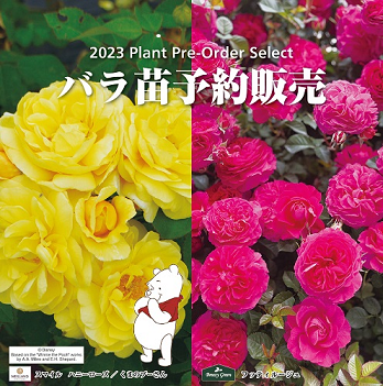 商品詳細 Herb＆Rose