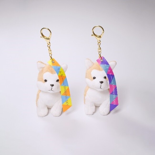 SHIBUYA SKY 渋谷スカイ グッズ まとめ売りセット 大人気のマスコットキーホルダーが「SHIBUYA SKY SOUVENIR SHOP