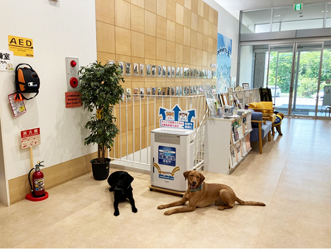 Breathing New Life into Service Dog Care: Japan Service Dog Association Receives State-of-the-Art Air Purification System