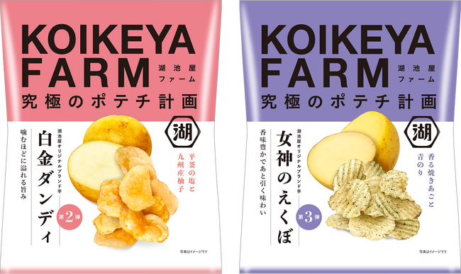ジャンボサイズ 数量限定 じゃがいも 130 こびり着い