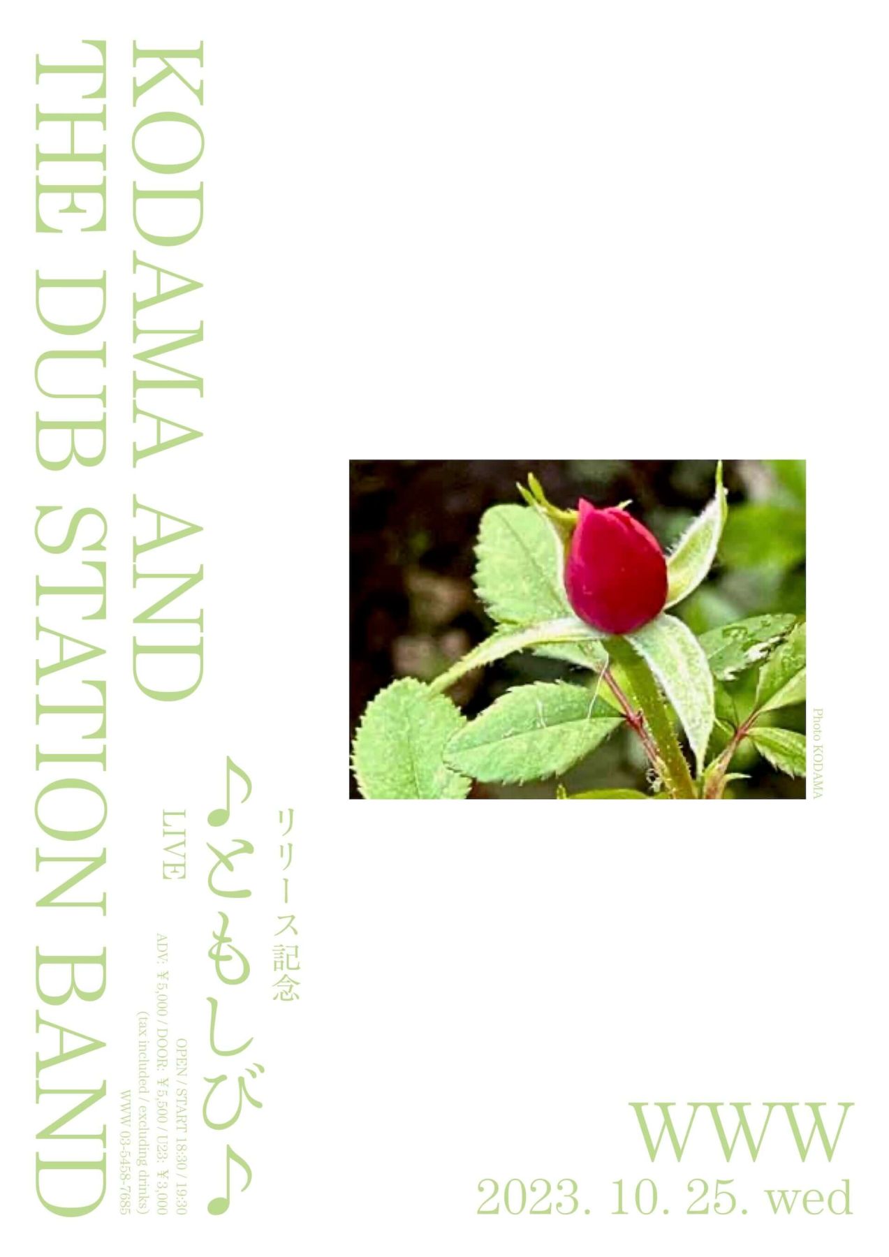 こだま和文が率いる「KODAMA AND THE DUB STATION BAND」の4年ぶりと