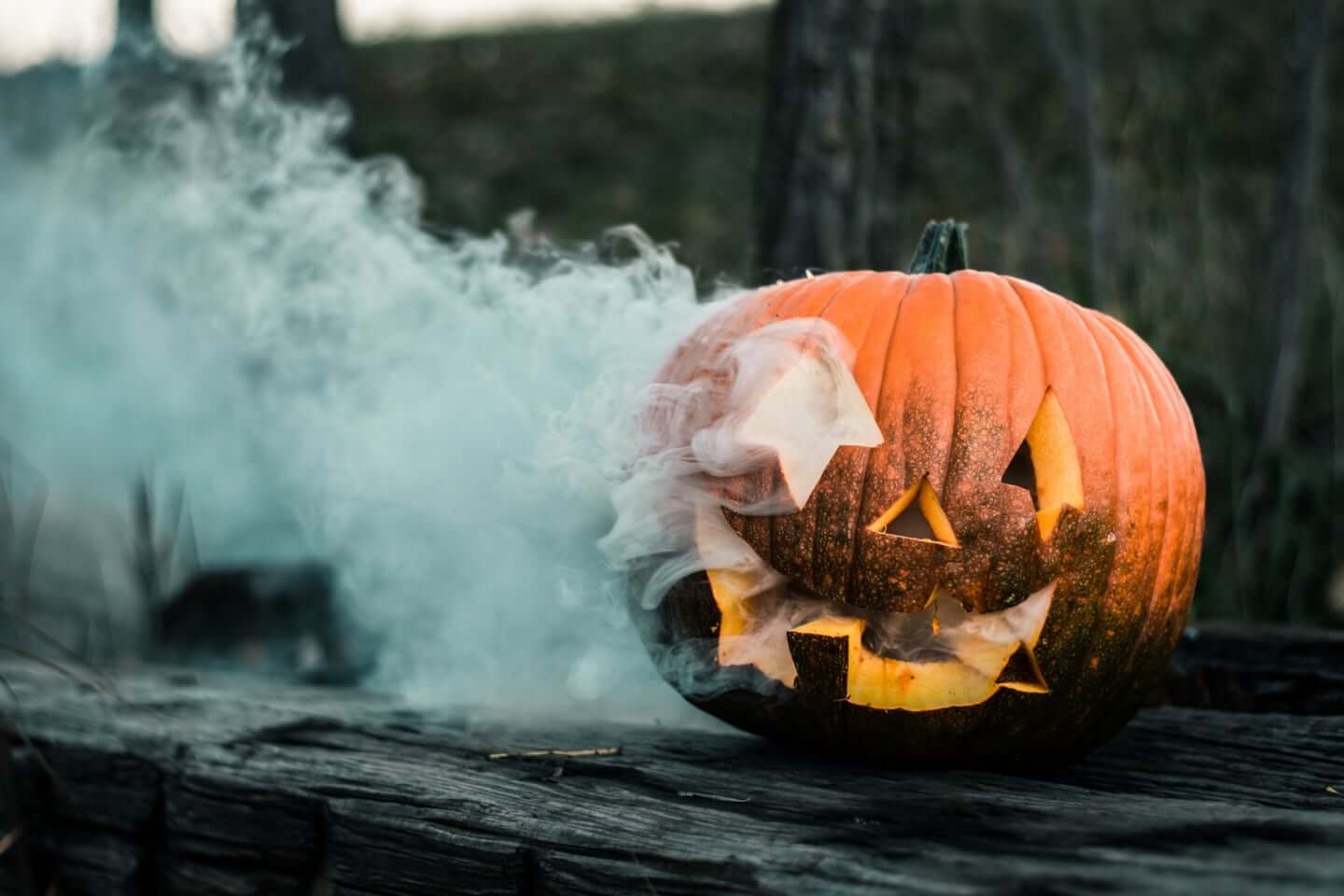 Trick Or Treat ハロウィンだからこそ観たいnetflix配信ホラー映画5選 19年10月31日 エキサイトニュース