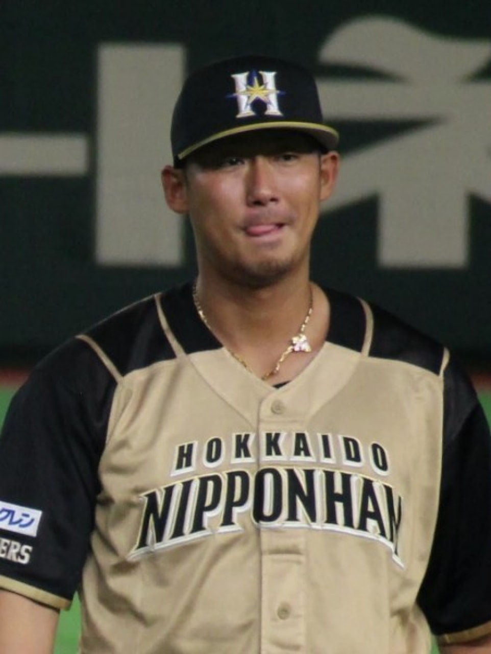 日本ハム 中田も怯える プロ野球選手寮 心霊現象の頻発 球団が対応に追われたケースも 年1月11日 エキサイトニュース