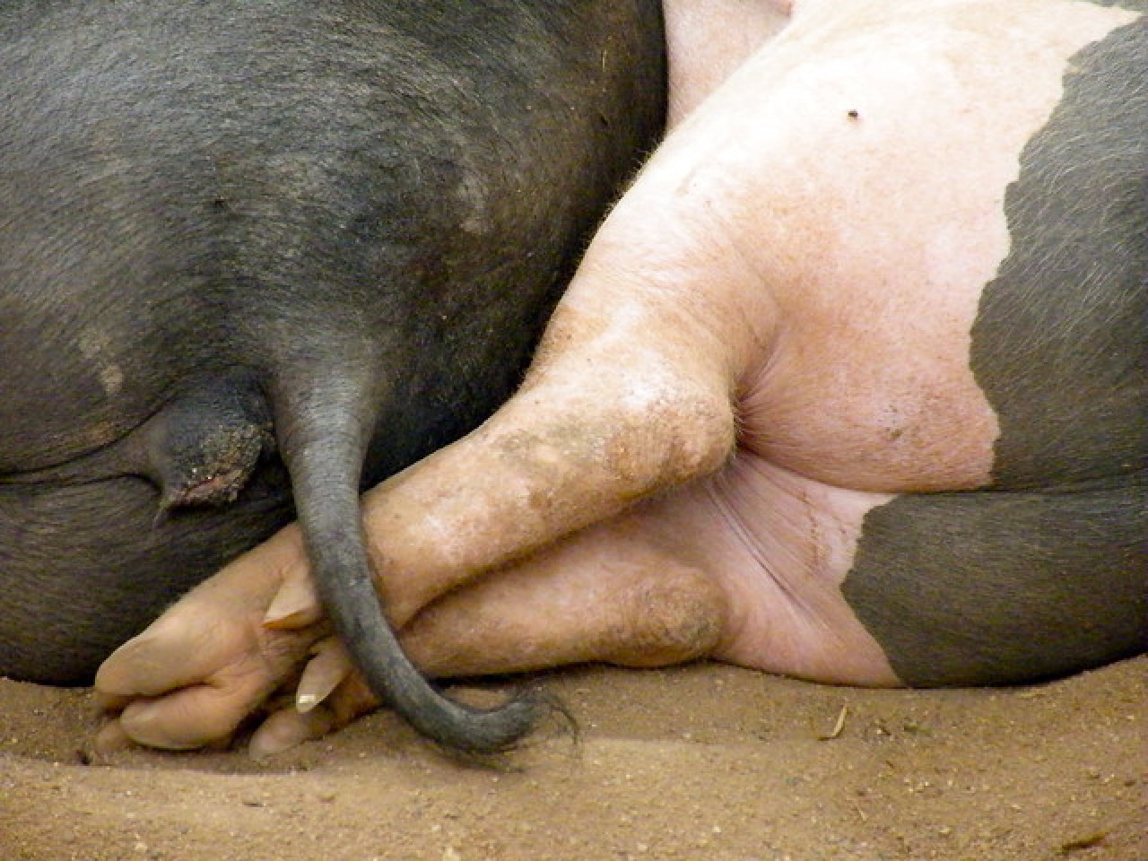 秘部に指を突き刺されて 女がドン引く瞬間 21年1月2日 エキサイトニュース