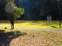 日本人と韓国人のマナーの実態を比較した韓国ネットユーザー「あれ？まさかの結果…」