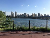 ごみに悩まされていた韓国の路地が見違えるほどきれいに、その理由は？＝韓国ネット「良いアイデア」「そこまでしないと駄目なの？」