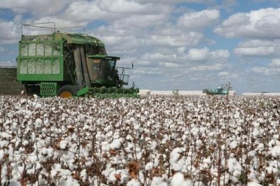 新疆における綿花栽培の機械化が98 以上に 中国メディア 22年4月7日 エキサイトニュース