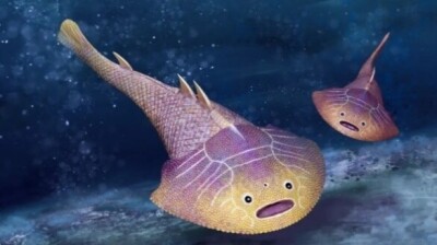中国宣州魚化石 中国で4億3800万年前の新種の魚類化石が発見 - エキサイトニュース