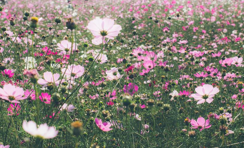 今がチャンス 好きな人が失恋した直後の告白はアリかナシか 15年12月13日 エキサイトニュース