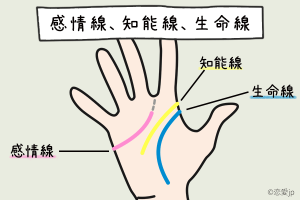 感情線 知能線 生命線の3つに注目 手相 で見る 肉食系 Or 草食系 の判断ポイント 16年8月13日 エキサイトニュース