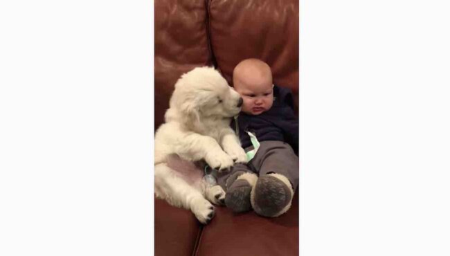 6u5t0pnrot17cm 6u5t0pnrot17cm