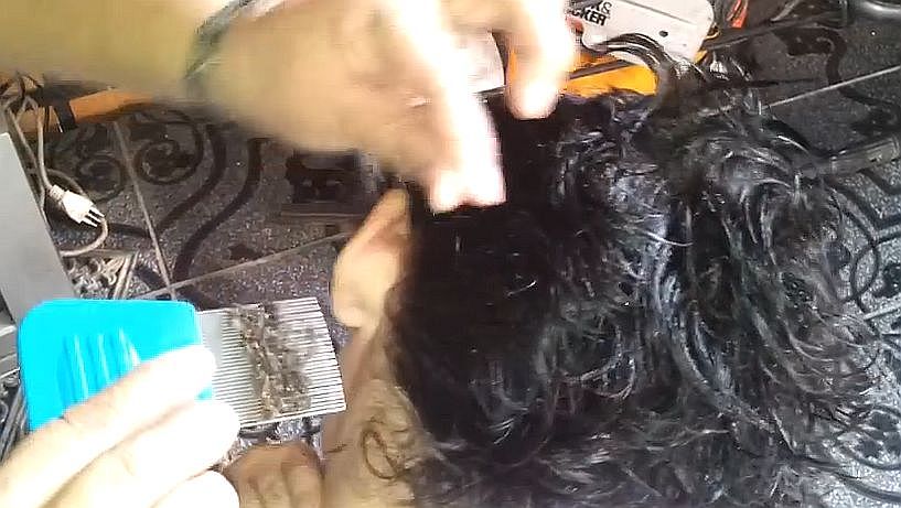 閲覧注意 少女の髪の毛から 数千匹はいそうなシラミを除去する動画 がスゴすぎる 海外ユーザーから大反響 14年10月26日 エキサイトニュース