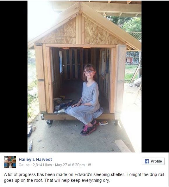 末恐ろしい子 ホームレスのためにシェルターを作る9才の少女 計画 建築 野菜栽培まで全部自分の手でやるんだよ 15年6月7日 エキサイトニュース